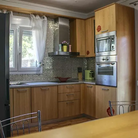 펜션 Maria's House PalaiónTsiflíkion